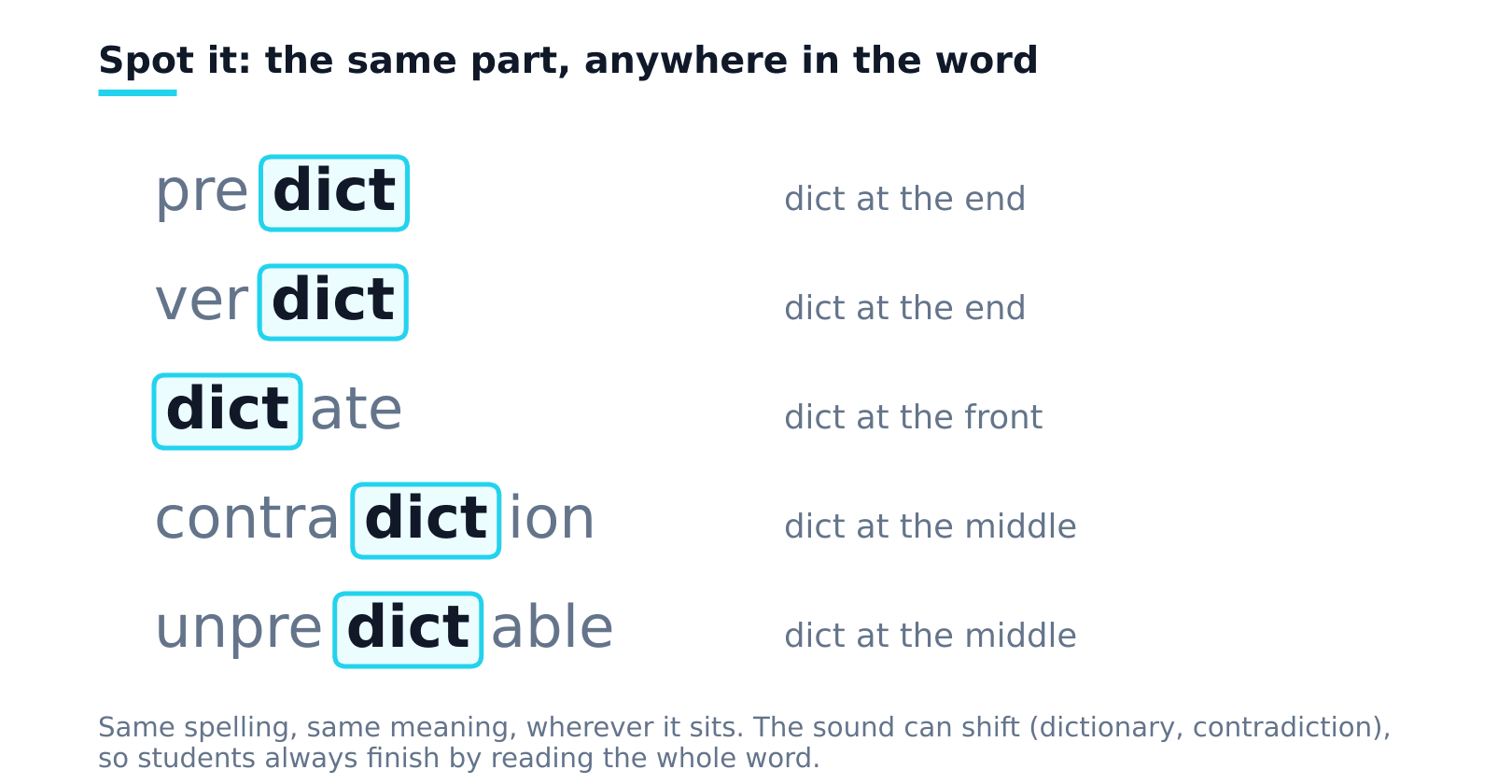 The root dict boxed inside five words: predict and verdict at the end, dictate at the front, contradiction and unpredictable in the middle. Same spelling and meaning everywhere; the sound can shift.